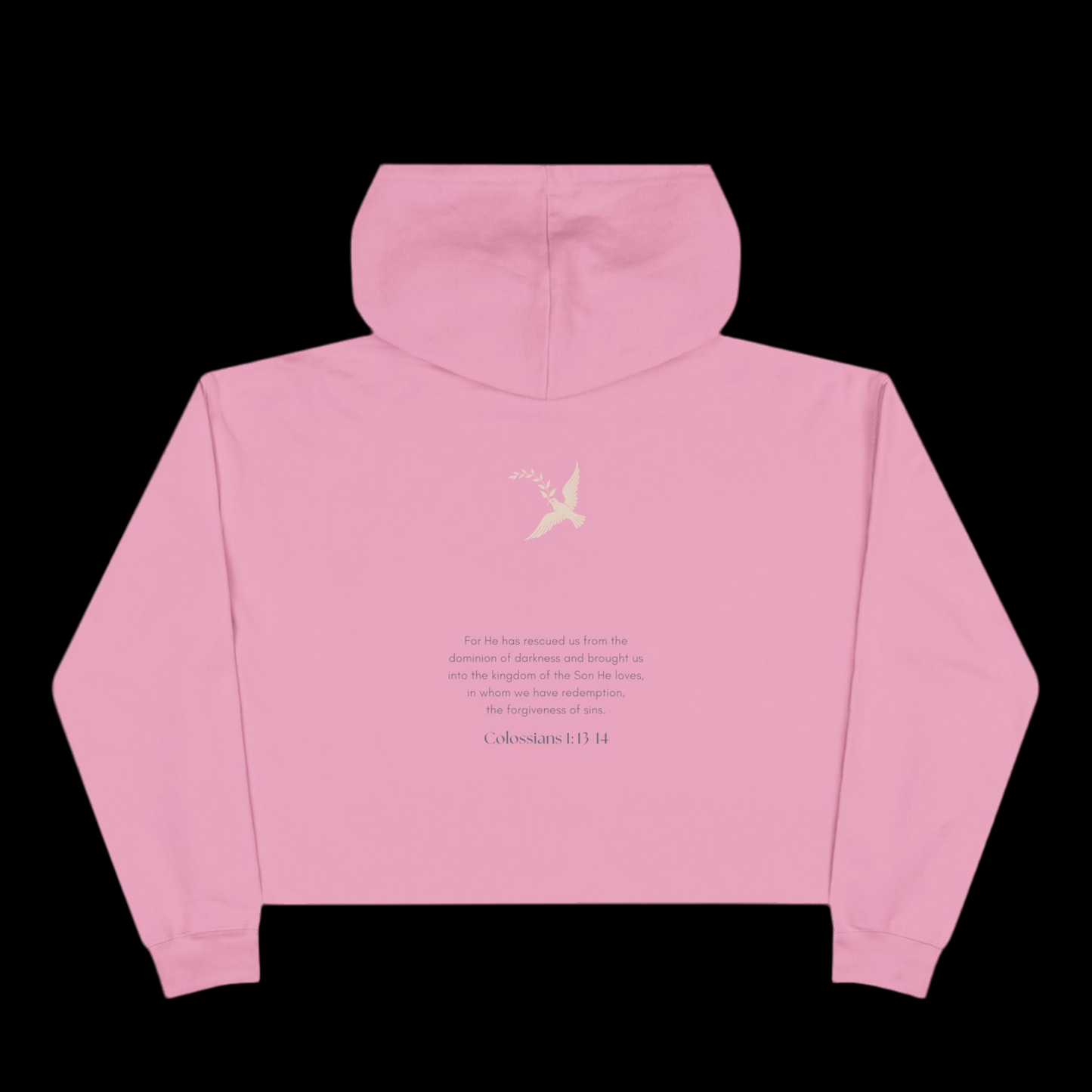 Crop Hoodie