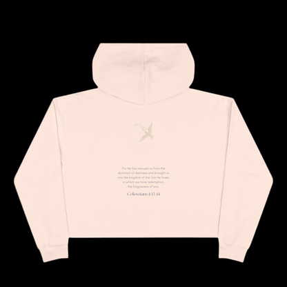 Crop Hoodie
