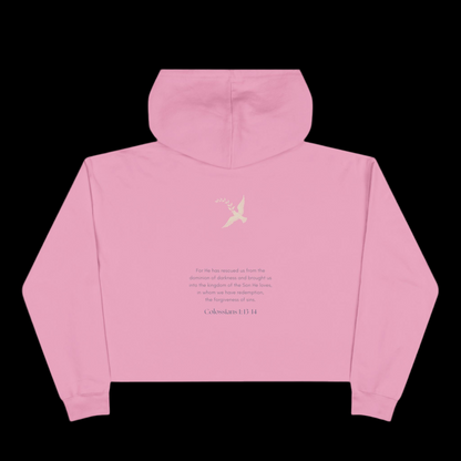 Crop Hoodie